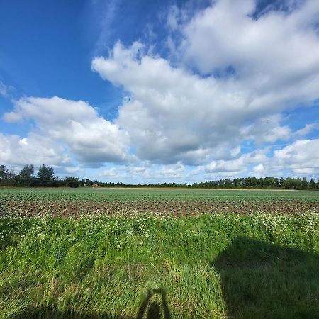 Huisje Mina Vrouwenpolder Bagian luar foto